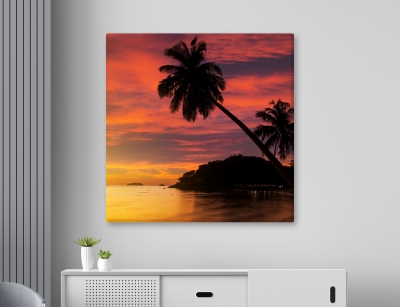 Palm Tree Sunset - Framed Canvas