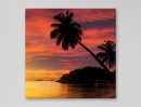  Palm Tree Sunset - Framed Canvas 