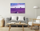  Lavender Field - Framed Canvas 