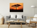  Sunset Tree Africa - Framed Canvas 
