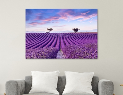 Lavender Field - Framed Canvas