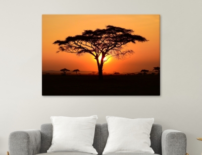 Sunset Tree Africa - Framed Canvas