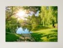  Sunny clearing with lake- Framed Canvas 
