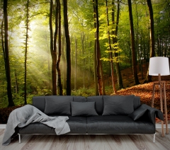 Forest - Printed Wallpaper with vivid colors