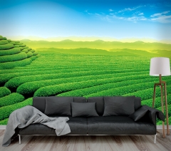Green Hill - Printed Wallpaper with vivid colors