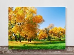 Autumn Colors  - Framed Canvas