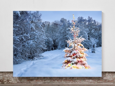 Christmas Tree - Framed Canvas