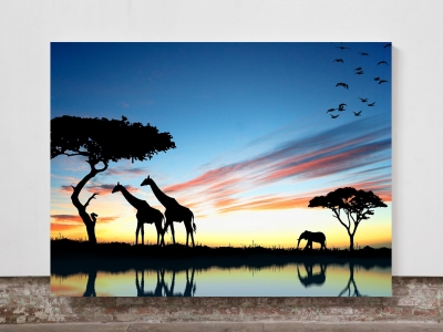Savanah Animals, Sunset - Framed Canvas