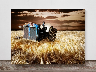 Tractor  - Framed Canvas