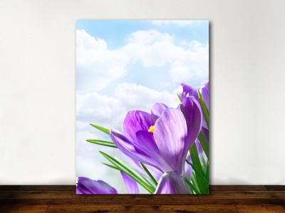 Purple Flower and Sky - Framed Canvas