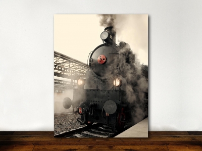 Train - Framed Canvas