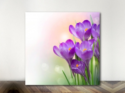 Purple Flowers - Framed Canvas